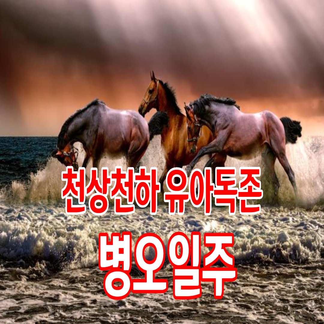  43. 천상천하 유아독존, 병오일주