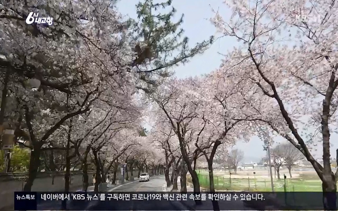 6시 내고향.E7510.220414p.H264-F1RST.mp4_20220419_184648.332.jpg