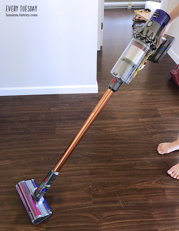  지름 자랑하기: 다이슨 V10 앱솔루트 무선 청소기 (Dyson V10 Absolute)