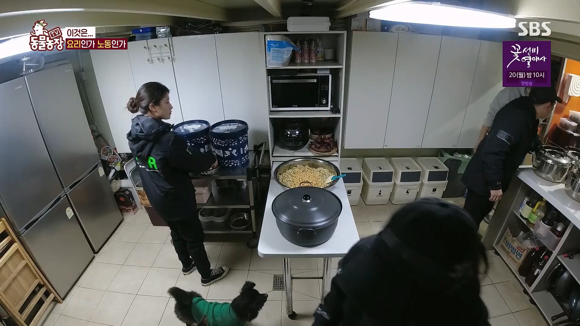 TV 동물농장.E1111.230312p.H264-F1RST.mp4_20230312_175958.116.jpg