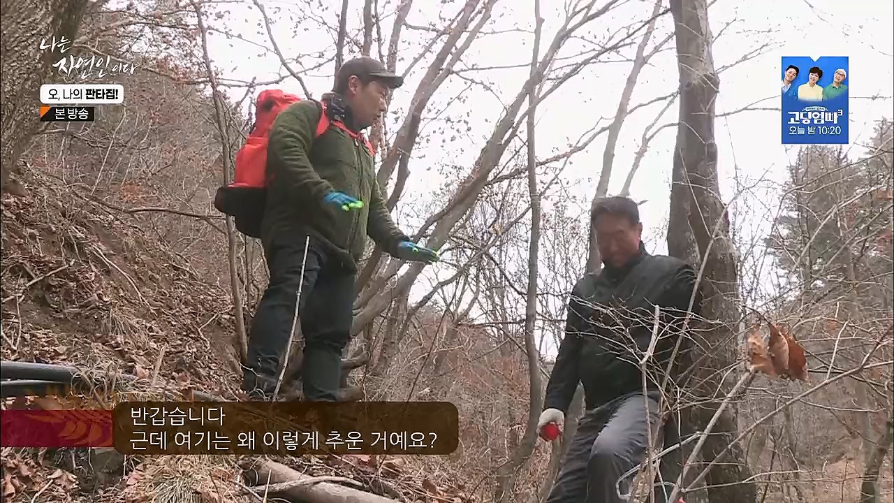 나는 자연인이다.E546.230323p.H264-F1RST.mp4_20230323_201530.229.jpg