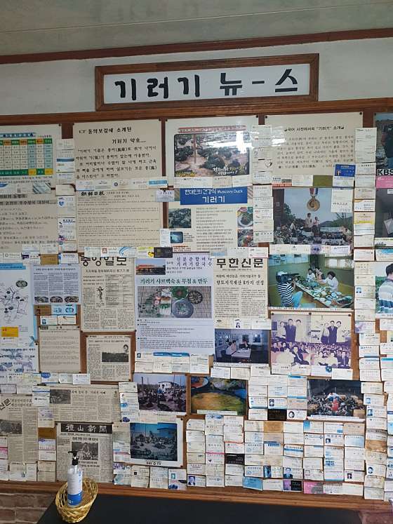 박성실 할머니 식당