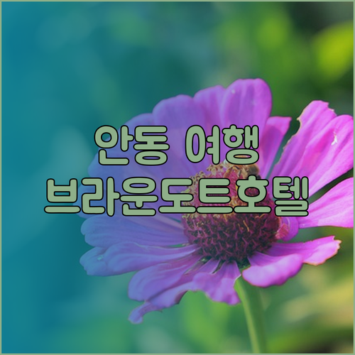 안동 여행 필수 숙소는 어디일까? 브