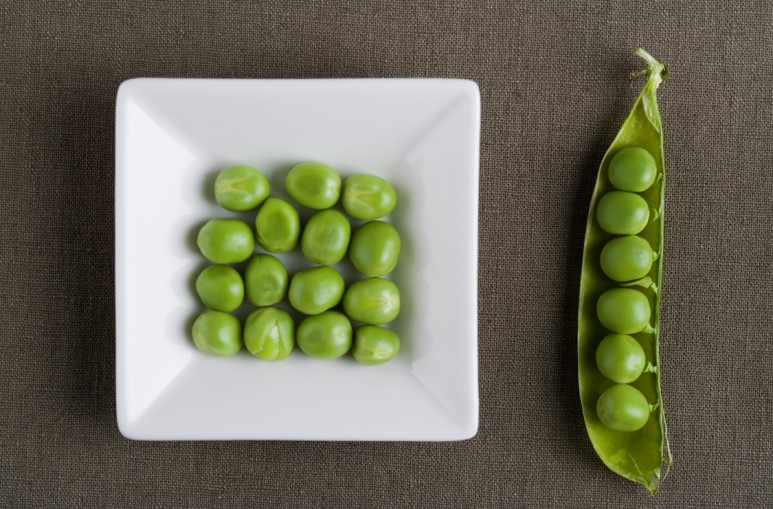 4월 심는 작물 5가지 2