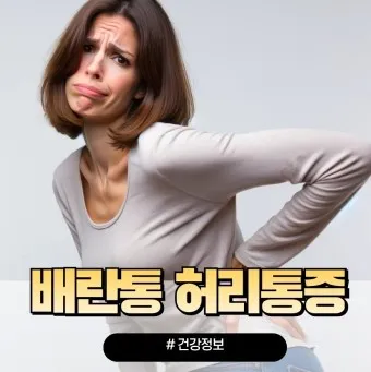 배란통 증상 및 시기 원인_18