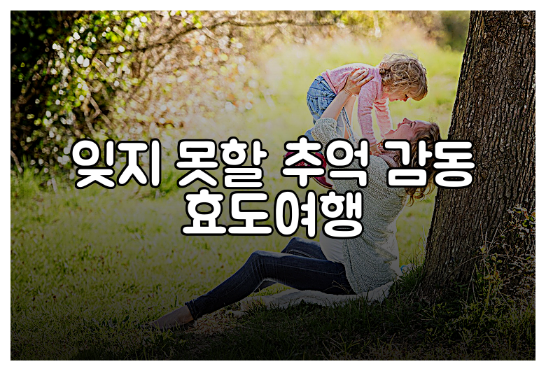 잊지 못할 추억 감동 효도여행