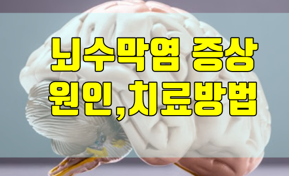  뇌수막염 증상 및 원인,치료,예방법