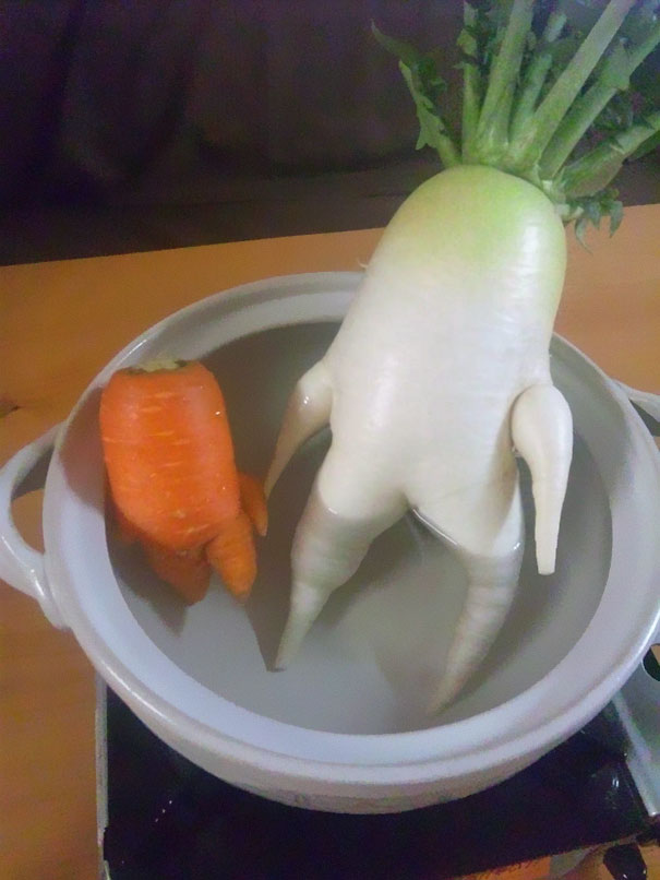 img.jpg