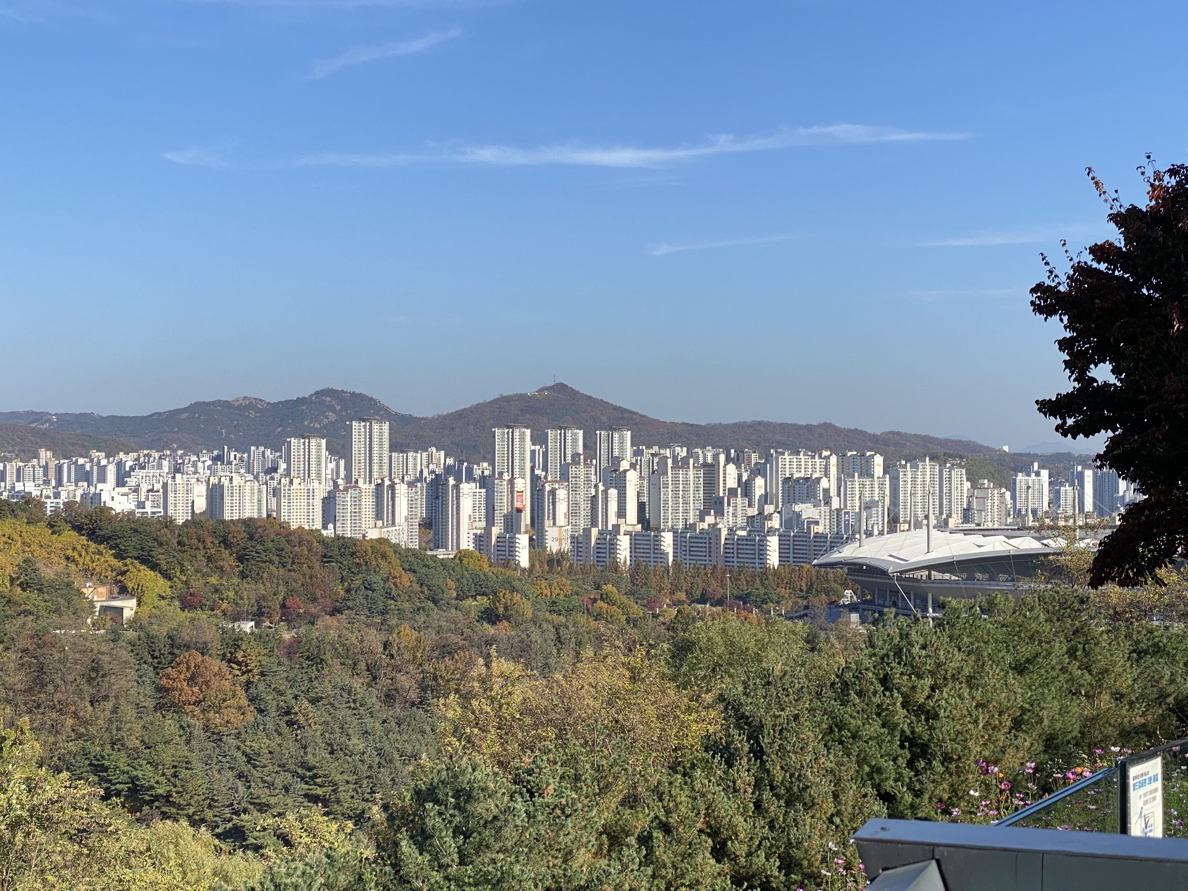 하늘공원 서울 풍경