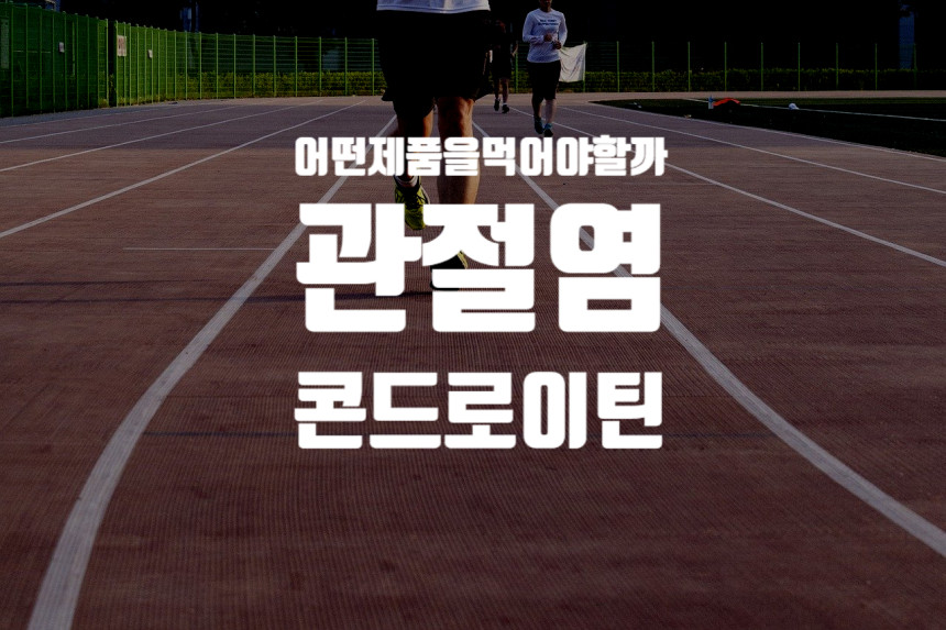  콘드로이친 - 관절염 어떤제품을 먹어야할지 고민이라면