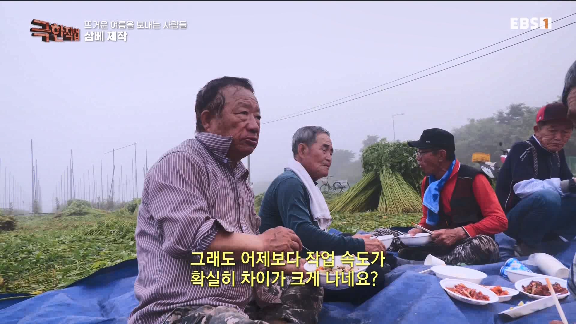 [극한 직업] 삼베 제작과 농어잡이 230812p.mp4_20230814_204003.547.jpg