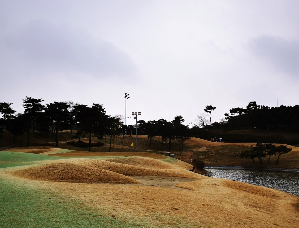 마제스티 1박2일 함평 엘리체CC 71