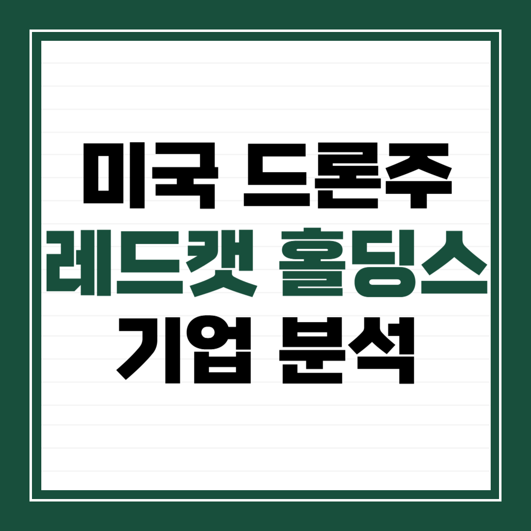 미국 드론주 레드캣 홀딩스 기업 분석