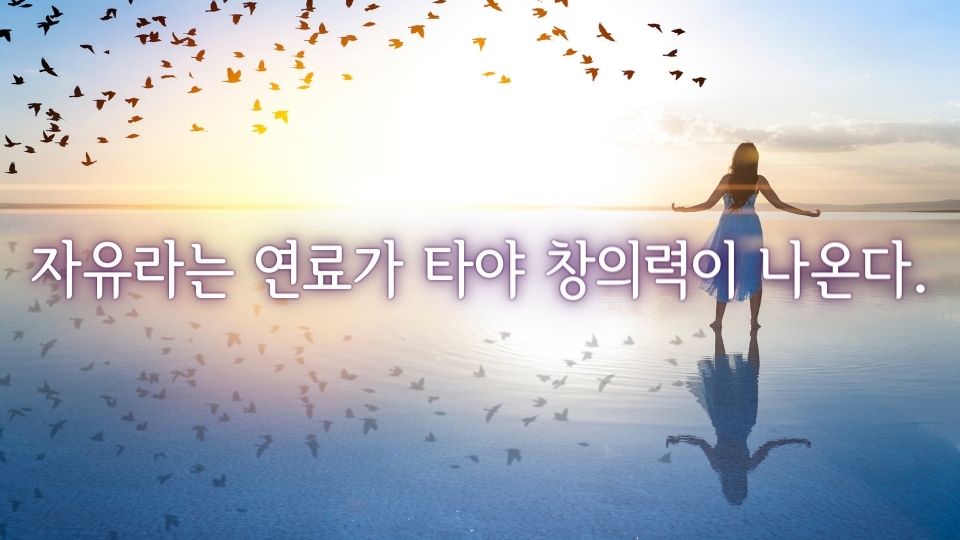 손웅정 명언 자유