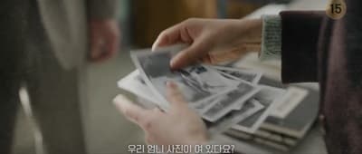 공선 사진