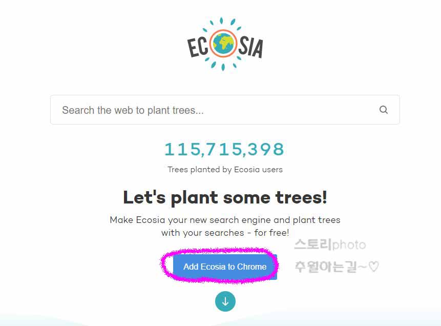  나무심는 검색엔진 에코시아 검색하며 환경보호(Ecosia)