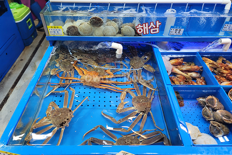 가락유통 이미지