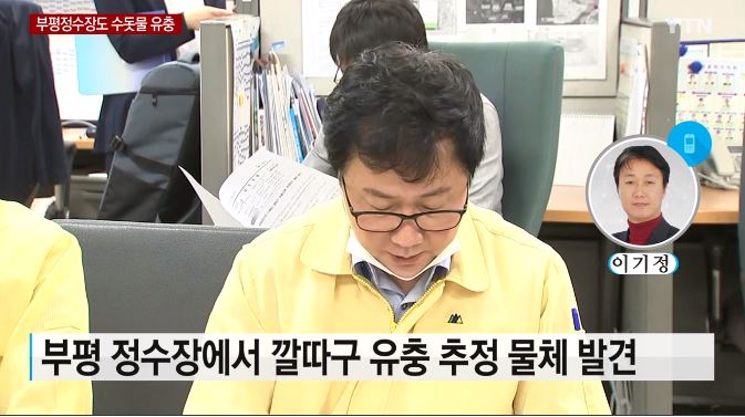  부평정수장 깔따구 유충 발견