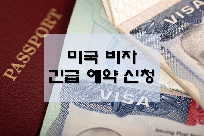 미국 비자 발급 중단! 긴급 예약 신청을 통한 긴급 비자 신청은 가능. 미국 비자 발급 중단! 긴급 예약 신청을 통한 긴급 비자 신청은 가능.