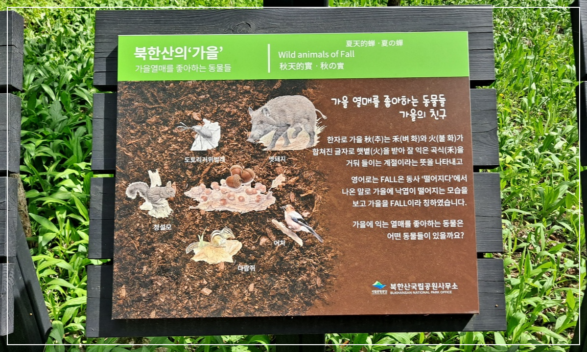 북한산의-가을-안내판