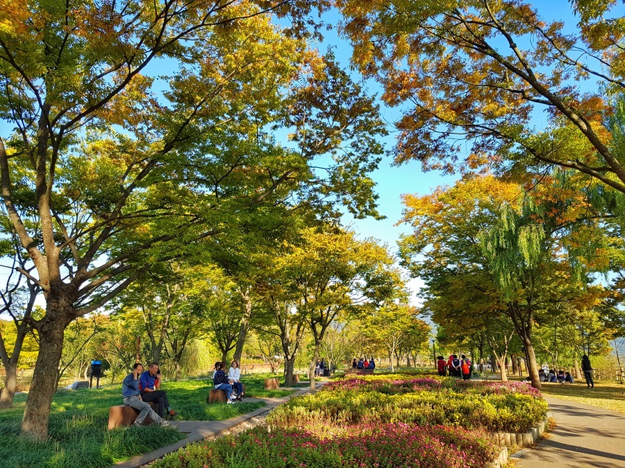 경기도 남양주 다산생태공원 단풍