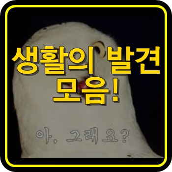  생활의 발견 모음!