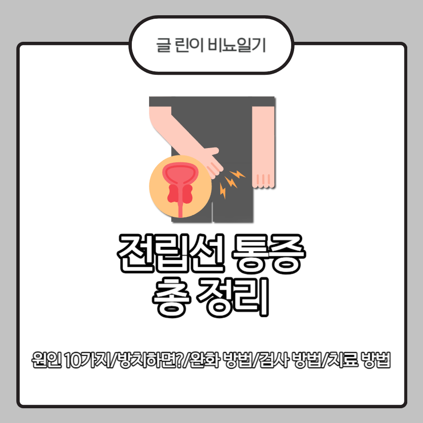  전립선 통증 총 정리