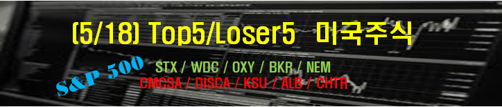  (2021/05/18) - 시장(Stock)마감후 Top5 / Loser5 종목