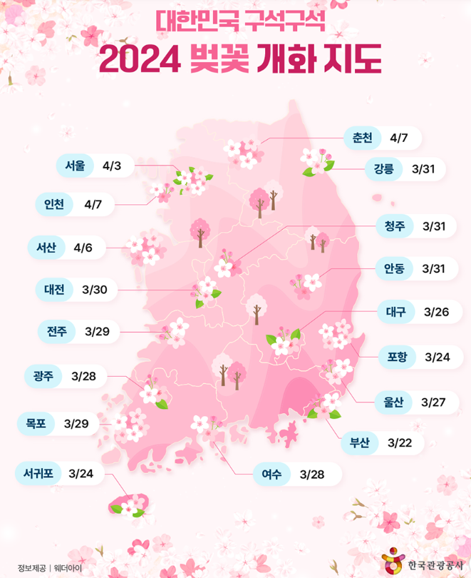 한국관광공사-벚꽃-개화시기