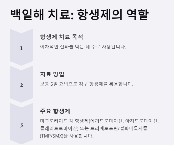 항생제를 통한 백일해 치료