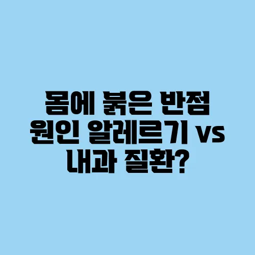 몸에 붉은 반점 원인 알레르기 vs 내과 질환?