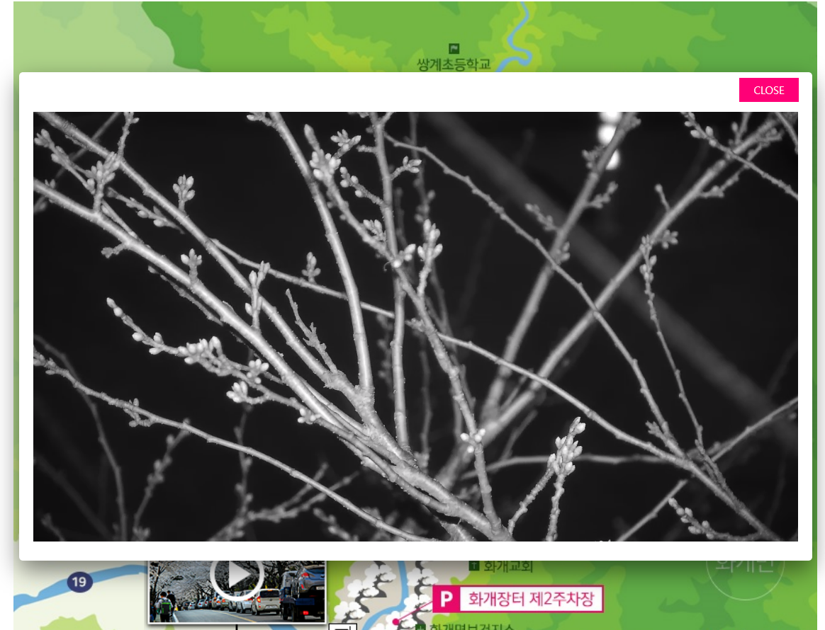 하동 쌍계사 벚꽃 개화시기 &#44;관광 꿀팁&#44; 길안내