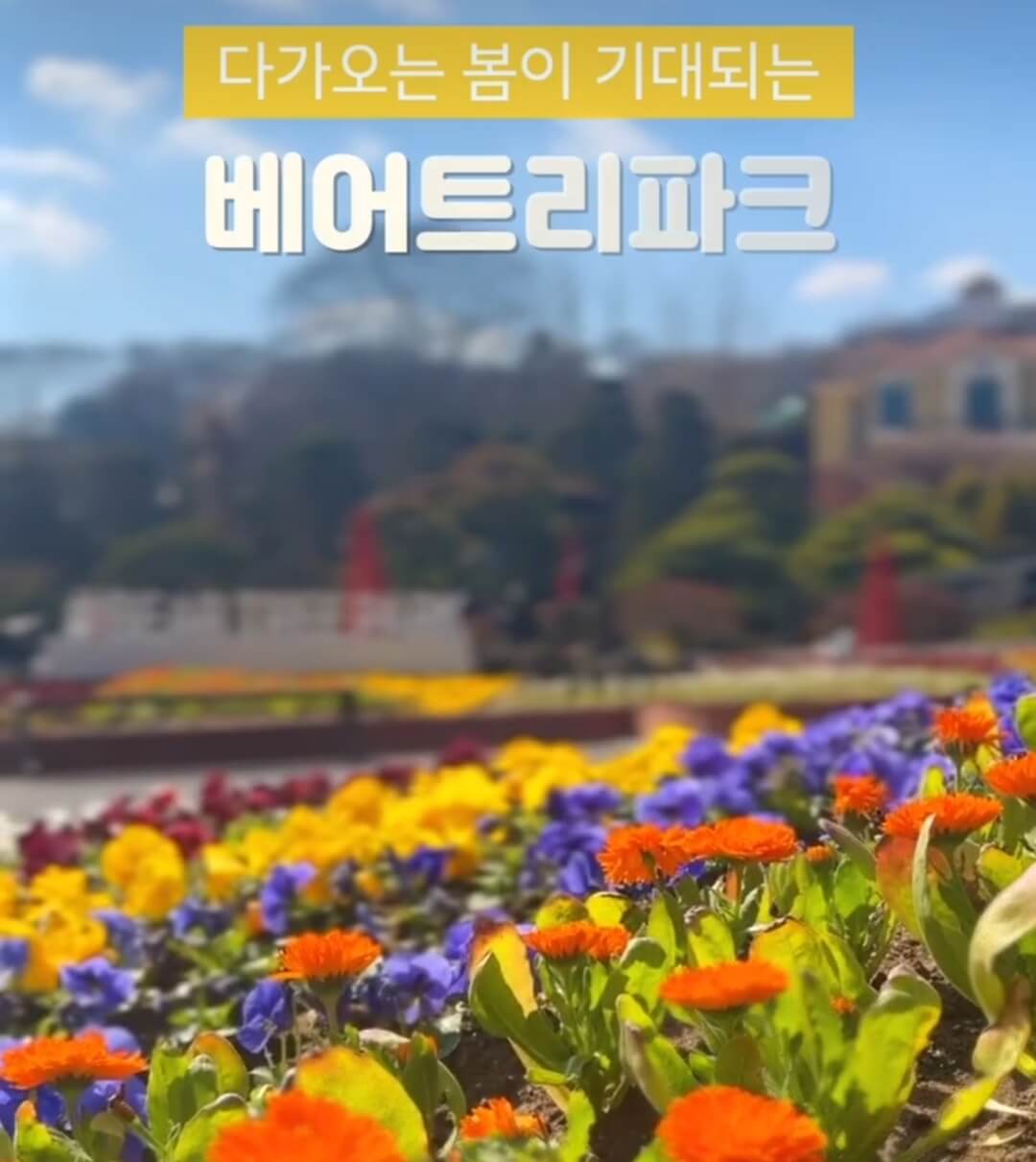 베어트리파크 축제