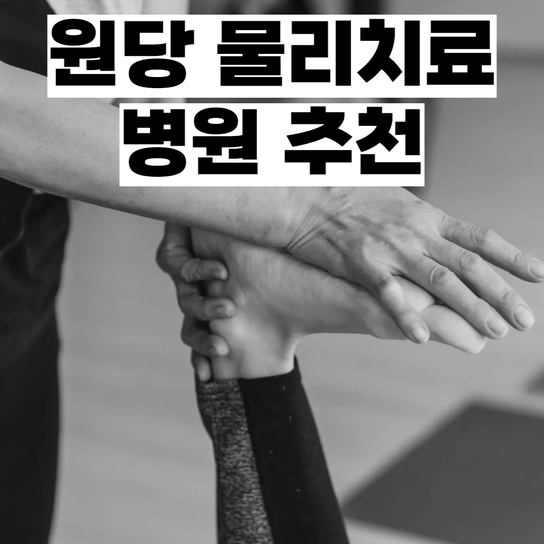 원당 물리치료 병원 추천
