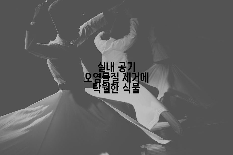 실내 공기 오염물질 제거에 탁월한 식물