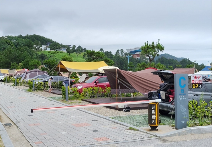 장호비치 C구역 오토 캠핑장