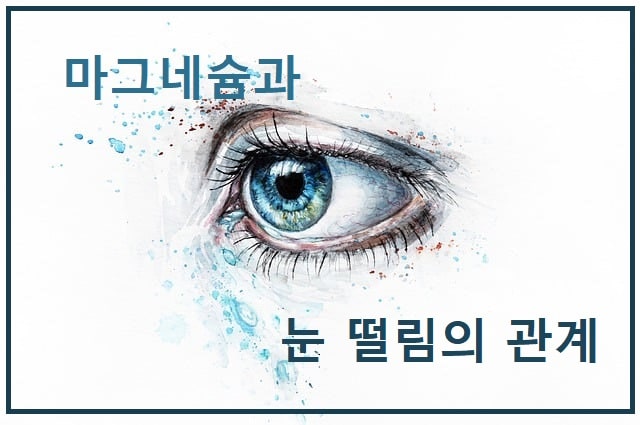 마그네슘과 눈 떨림의 관계