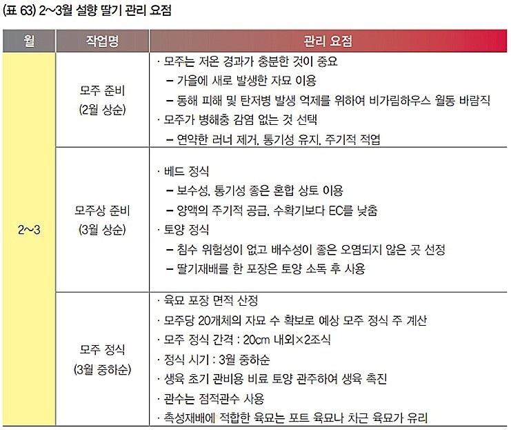 설향 이미지