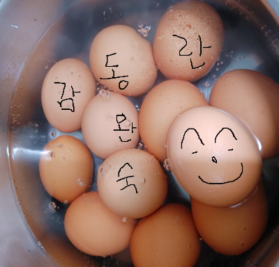 계란 삶는 방법과 시간