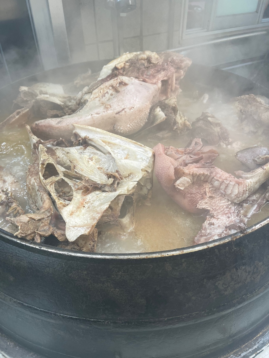  강릉중앙시장 먹거리 탐방