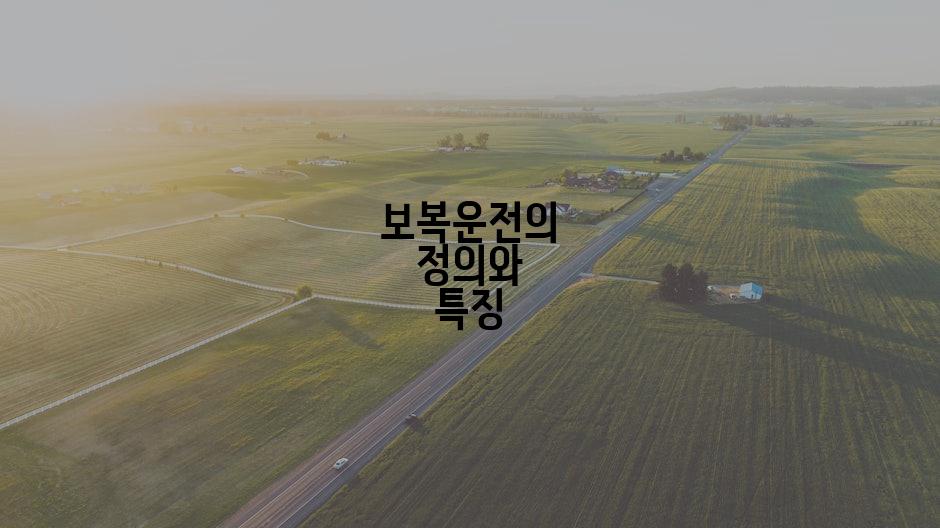 보복운전의 정의와 특징