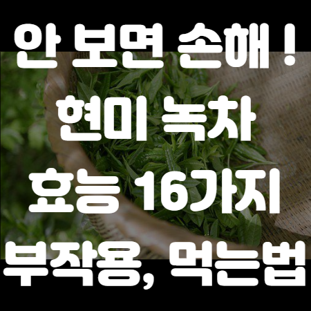 현미 녹차 효능