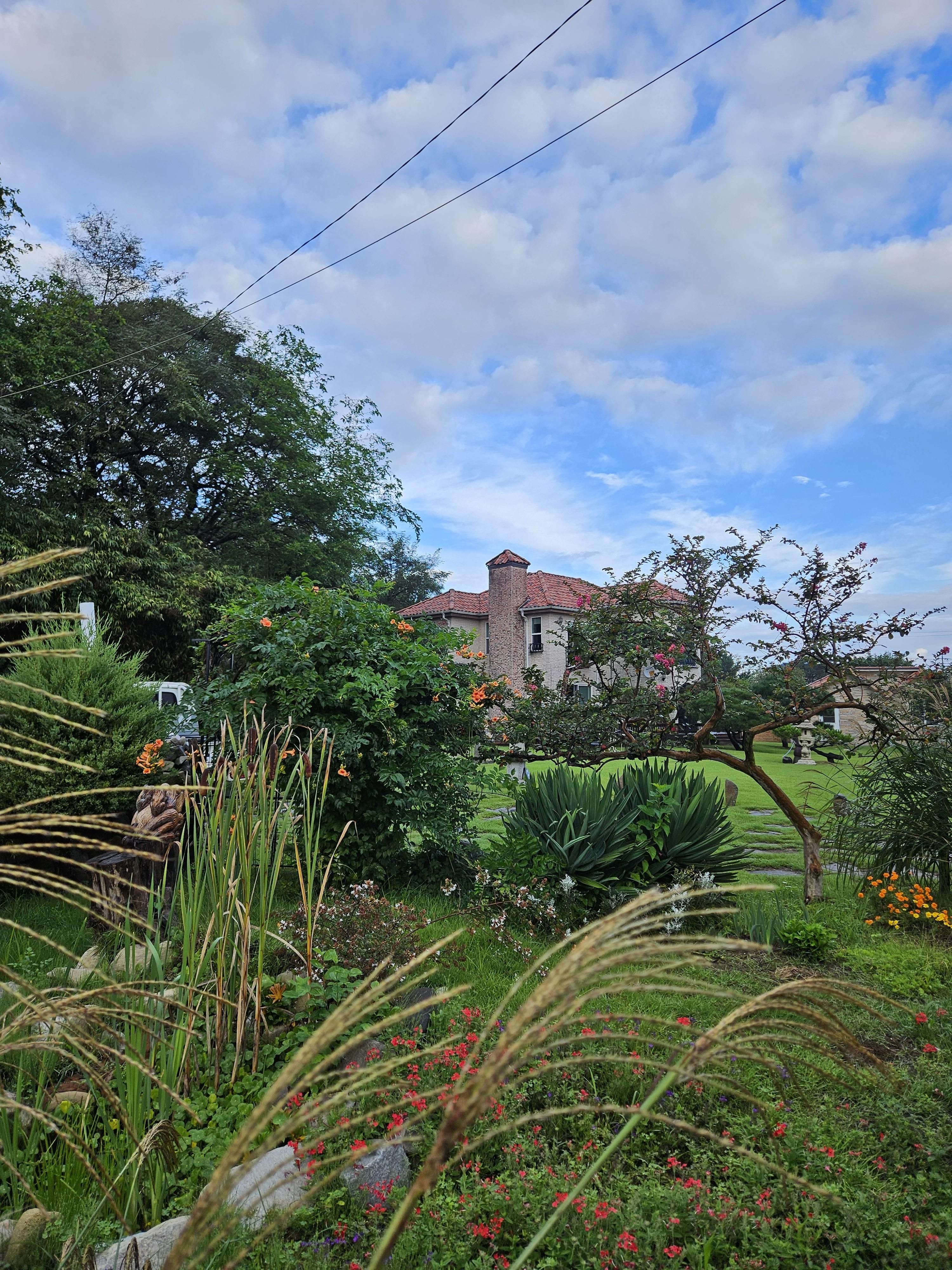 보령 한 저택의 정원