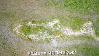 구눙 파당 지구 아래 최고의 피라미드_11