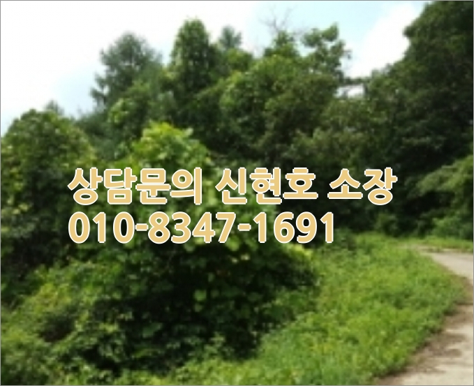 경북 영천 임야 매매 [2021타경4956] 경북 영천시 6