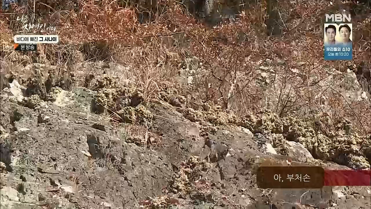 나는 자연인이다.E530.221131p.H264-F1RST.mp4_20221201_212035.665.jpg