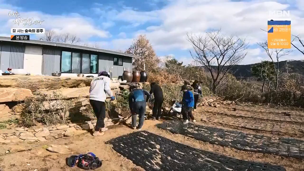 나는 자연인이다.E582.231130p-NEXT.mp4_20231130_200826.592.jpg