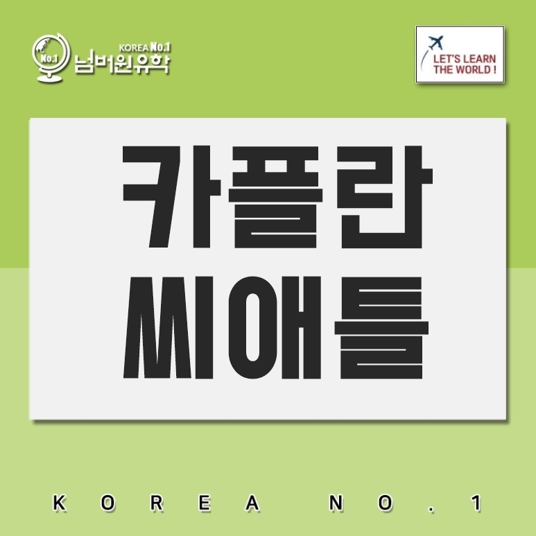  청주미국유학 카플란 씨애틀은 달라도 너무 달라!