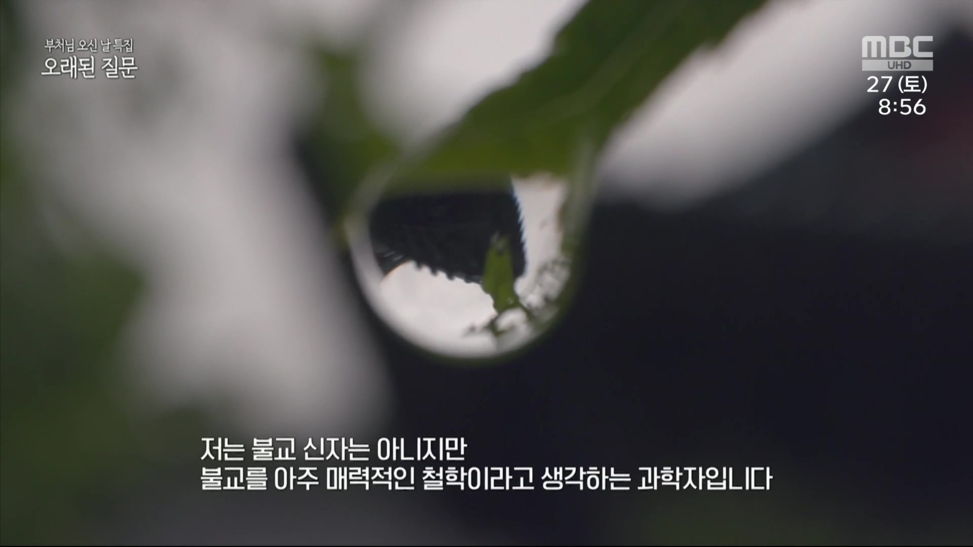 부처님 오신 날 특집 오래된 질문.230527p.H264-F1RST.mp4_20230527_171832.257.jpg