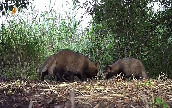 EBS 다큐프라임_ 220628.avi_20220629_210208.604.jpg